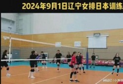辽宁女排爆料最新消息今天,揭秘今日赛场风云变幻