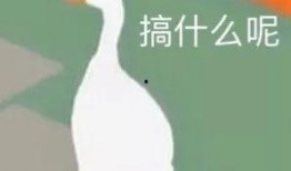大鹅最新爆料图片,神秘图片揭秘惊人真相！