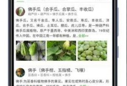 最新 植物爆料软件,揭秘植物爆料软件带来的颠覆性变革