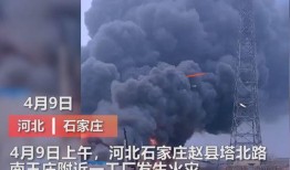 阜宁最新爆料事件视频大全,视频大全揭露惊人真相