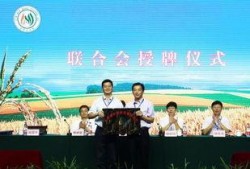 徐州新农人爆料新闻最新,揭秘农村发展新动向