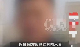 最新江苏爆料事件新闻,揭秘背后真相与影响