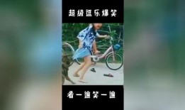 逗乐爆料视频大全最新版,最新版笑料横生，欢乐无限