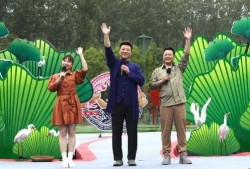 椒江最新爆料新闻视频下载,视频揭秘事件真相，引发社会关注