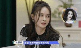 杨幂的真实爆料贴吧最新,娱乐圈背后的惊人真相大揭秘！