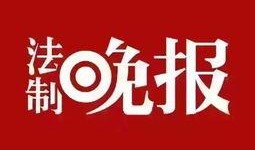 最新生活爆料,最新生活爆料，带你领略都市生活新风向