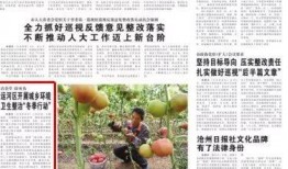 沧州爆料最新新闻,聚焦城市动态与民生热点
