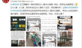 新密都市爆料最新消息今天,今日热点事件速览！”