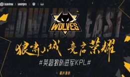 狼队最新爆料,揭秘球队备战新赛季的幕后故事