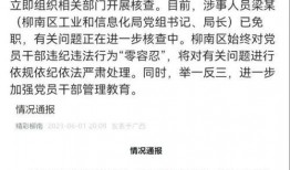 柳州某局长爆料视频最新,揭露背后惊人真相