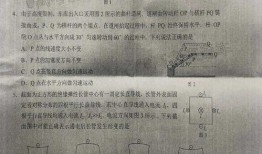 全国大狗爆料最新消息新闻,最新全国新闻动态大盘点