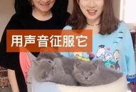 快手刘畅最新爆料,快手背后不为人知的秘密