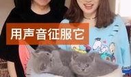 快手刘畅最新爆料,快手背后不为人知的秘密